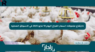 «ارتفاع ملحوظ» أسعار الفراخ اليوم 18 مايو 2025 في الأسواق المحلية
